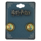 Harry Potter Hogwarts House Crest Earrings