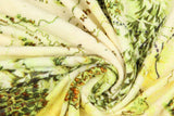 Lord Of The Rings Full Middle Earth Map Design Plush Throw Blanket 46' x 60'