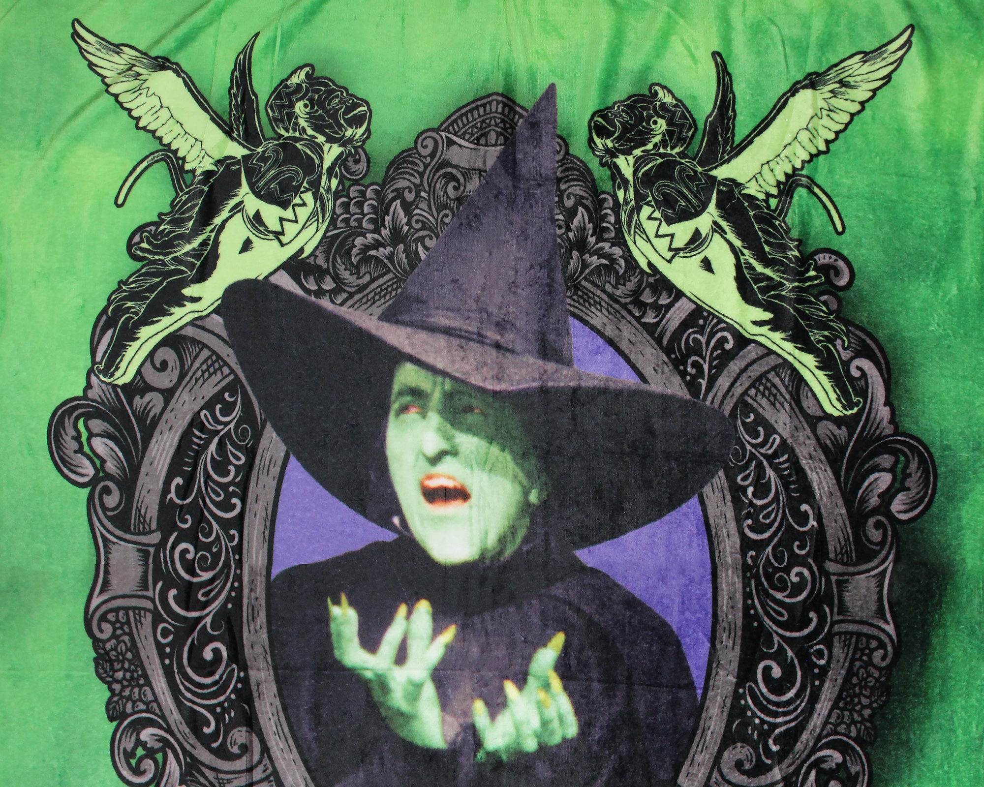 Wizard of Oz Wicked Witch Throw Blanket 46" x 60" Soft Fleece Throw Blanket