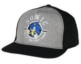 Sonic The Hedgehog Youth Snapback Hat Life in the Fast Lane Kids Adjustable Hat