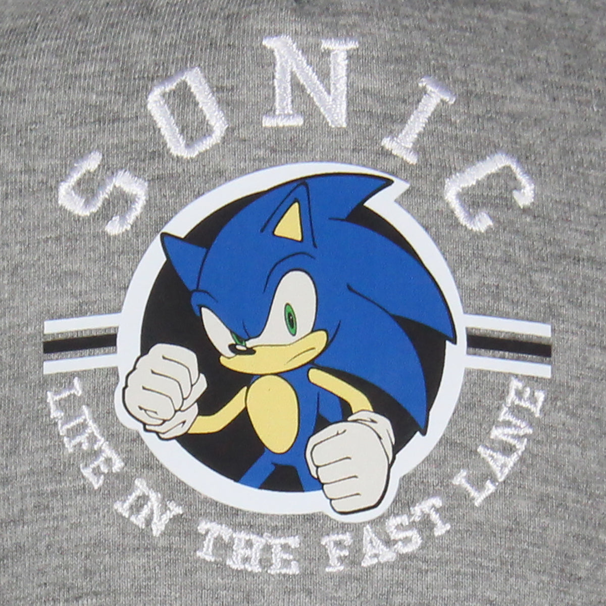 Sonic The Hedgehog Youth Snapback Hat Life in the Fast Lane Kids Adjustable Hat