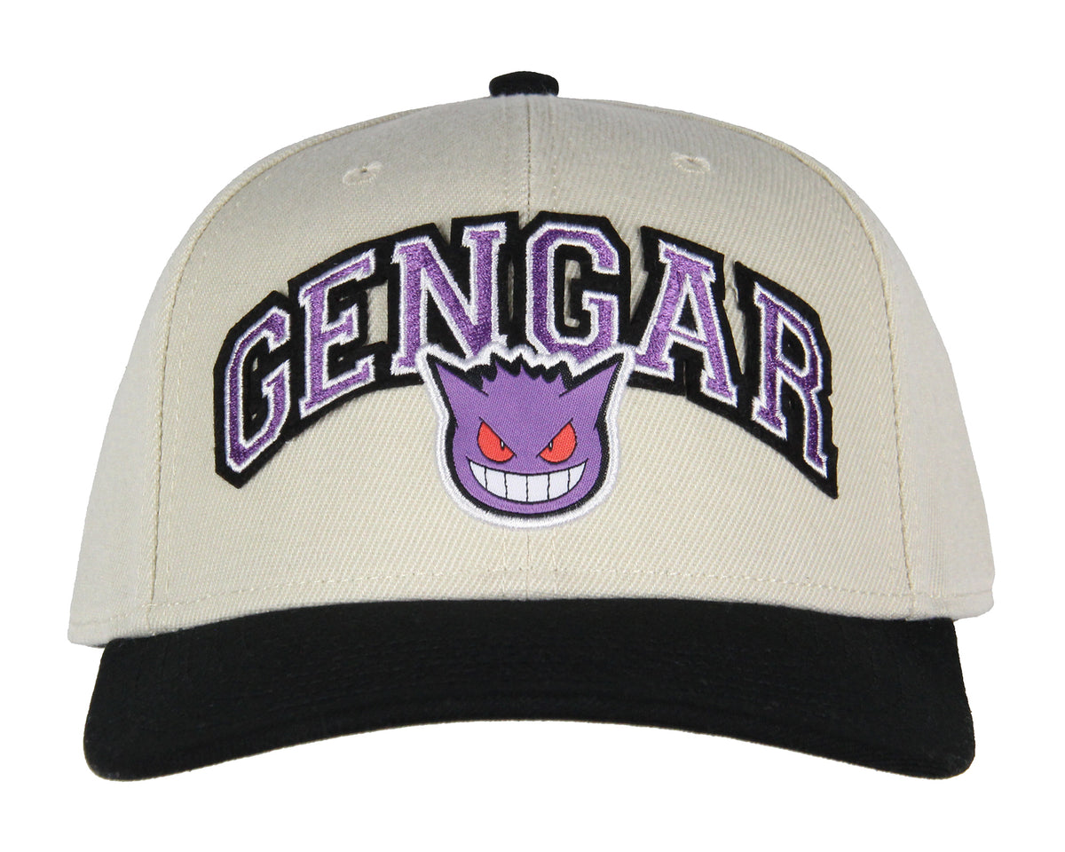 Pokemon Adult Embroidered Precurve Snapback Hat For Men and Women