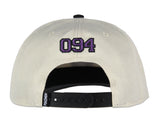 Pokemon Adult Embroidered Precurve Snapback Hat For Men and Women