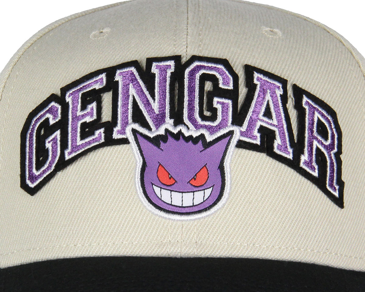 Pokemon Adult Embroidered Precurve Snapback Hat For Men and Women