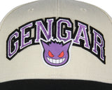 Pokemon Adult Embroidered Precurve Snapback Hat For Men and Women
