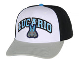 Pokemon Adult Embroidered Precurve Snapback Hat For Men and Women