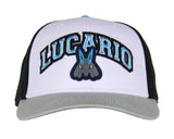 Pokemon Adult Embroidered Precurve Snapback Hat For Men and Women