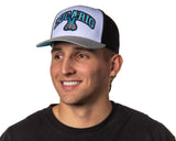 Pokemon Adult Embroidered Precurve Snapback Hat For Men and Women