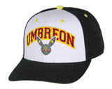Pokemon Adult Embroidered Precurve Snapback Hat For Men and Women