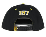 Pokemon Adult Embroidered Precurve Snapback Hat For Men and Women