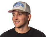 Pokemon Adult Embroidered Precurve Snapback Hat For Men and Women