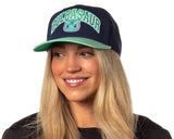 Pokemon Adult Embroidered Precurve Snapback Hat For Men and Women