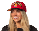 Pokemon Adult Embroidered Precurve Snapback Hat For Men and Women