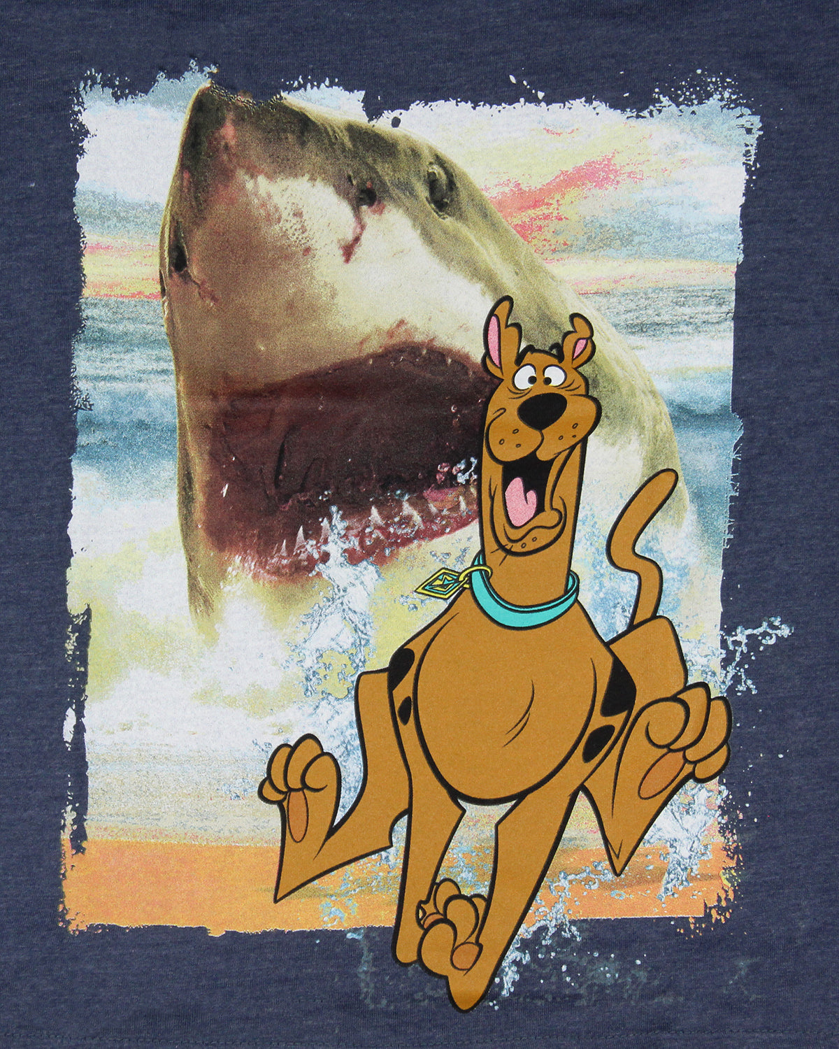 Scooby-Doo Boys' Shark Chasing Scooby Print Design T-Shirt Kids