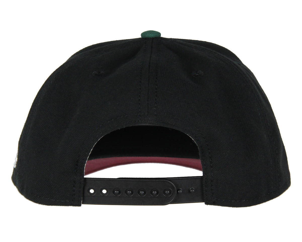 Star Wars Adult Embroidered Precurve Snapback Hat For Men and Women