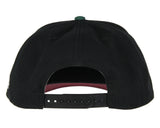 Star Wars Adult Embroidered Precurve Snapback Hat For Men and Women