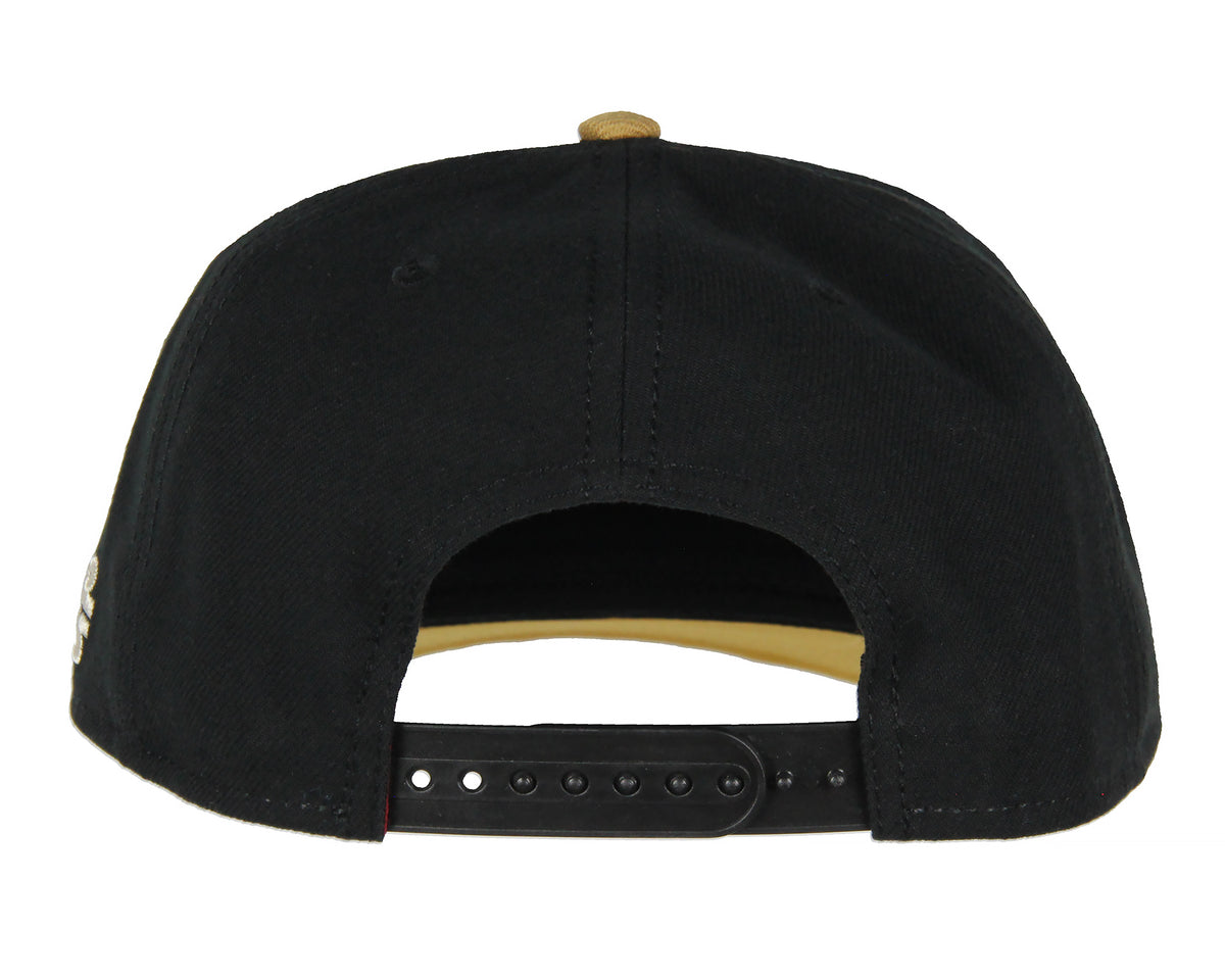 Star Wars Adult Embroidered Precurve Snapback Hat For Men and Women
