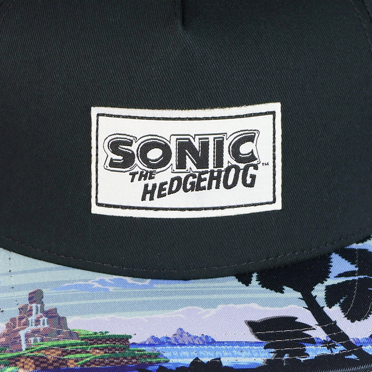 Sonic the Hedgehog Boys' Flat-Brim Hat Angel Island Snapback OSFM Baseball Cap