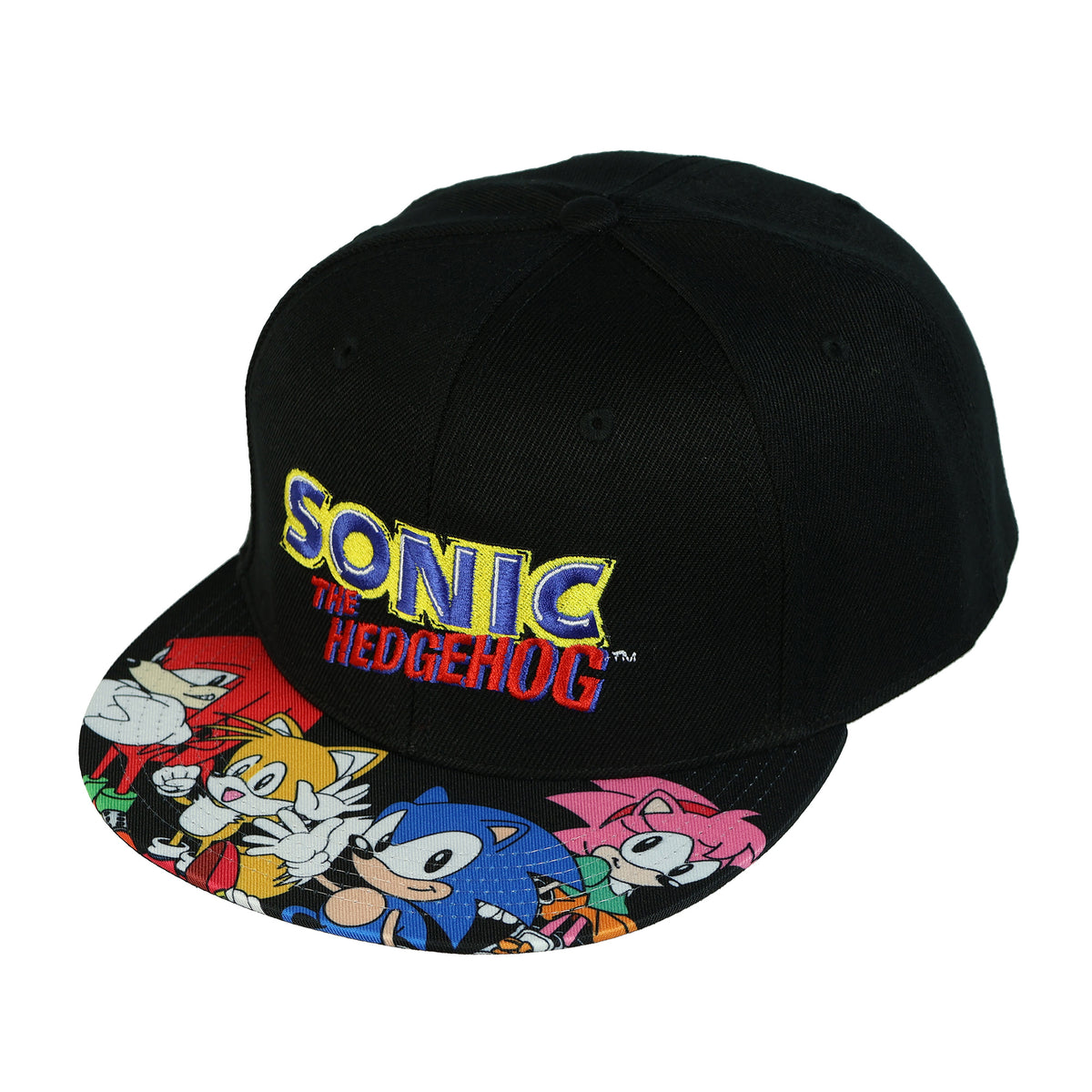 Sonic The Hedgehog Snapback Hat Character Design Flat Brim Embroidered Cap OSFM