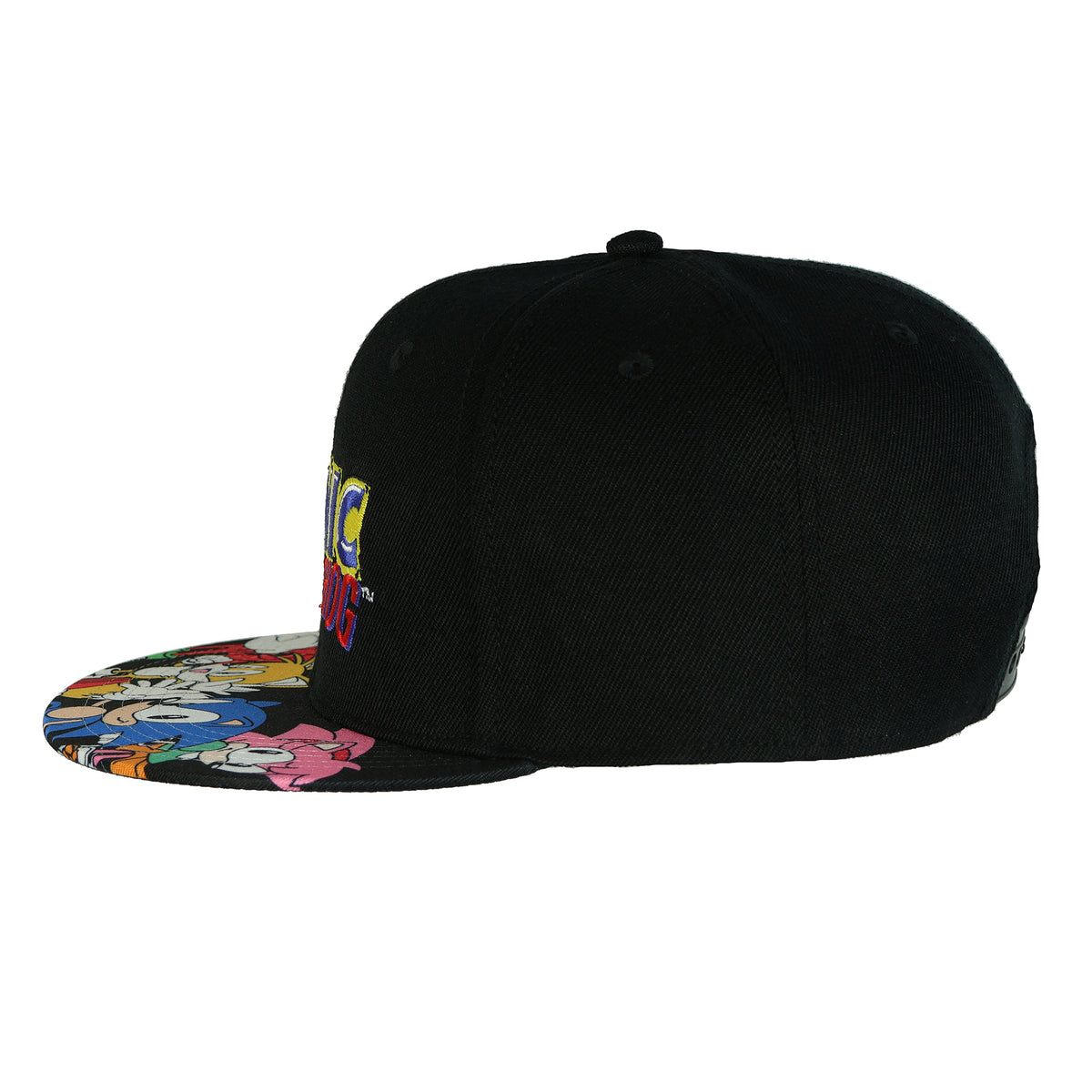 Sonic The Hedgehog Snapback Hat Character Design Flat Brim Embroidered Cap OSFM