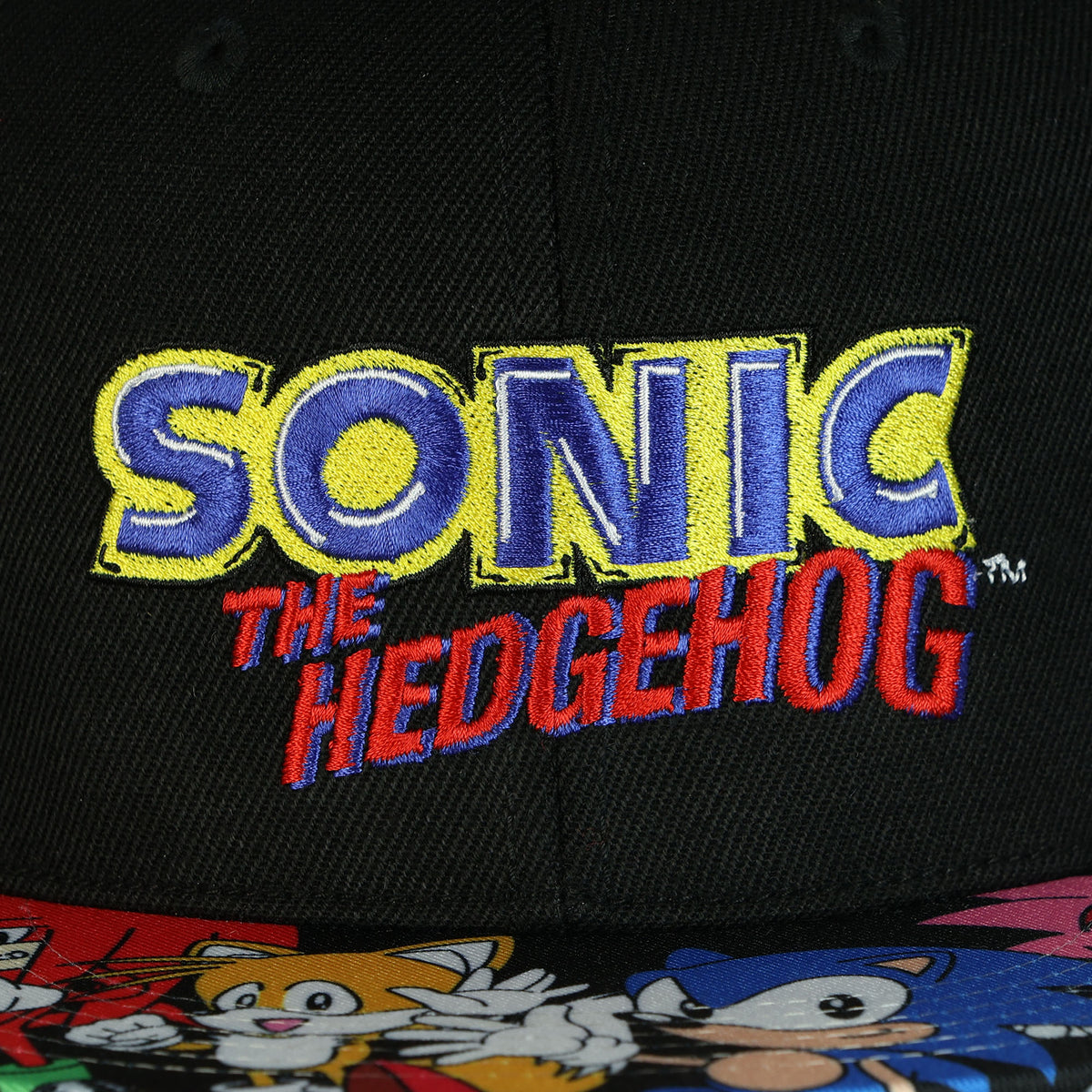 Sonic The Hedgehog Snapback Hat Character Design Flat Brim Embroidered Cap OSFM