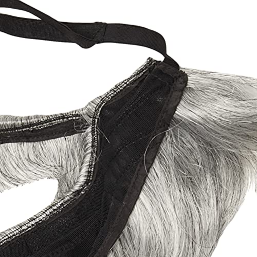 Rubie's Mens' Character Beard Pull On Costume OSFM (Brown)