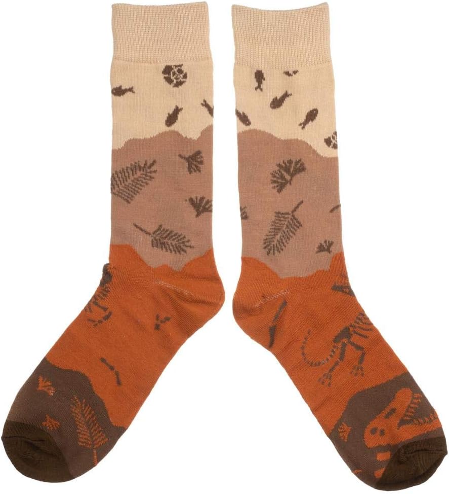 Dinosaur Paleontologist Mens' Fossil 3 Pair Crew Box Set