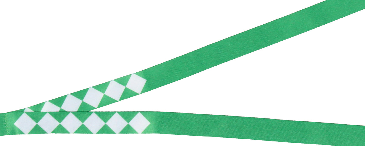 Power Rangers Green Ranger ID Lanyard Badge Holder w Dragonzord Pendant