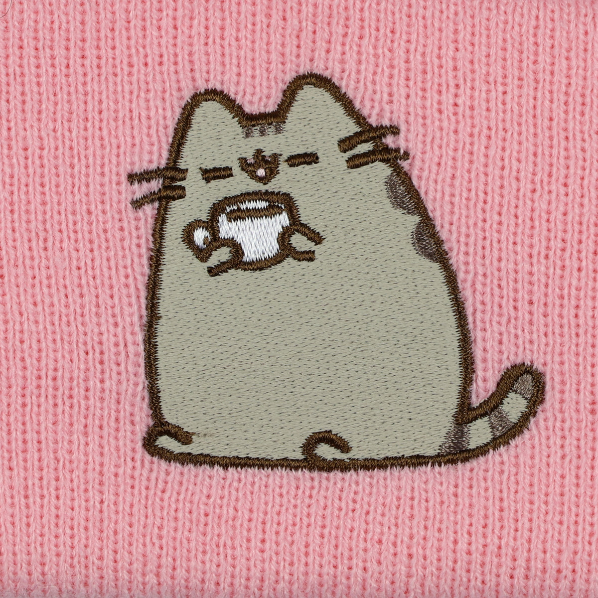 Pusheen Beanie Embroidered Tabby Cat Patch Design Fold Cuff Knit Hat Adult