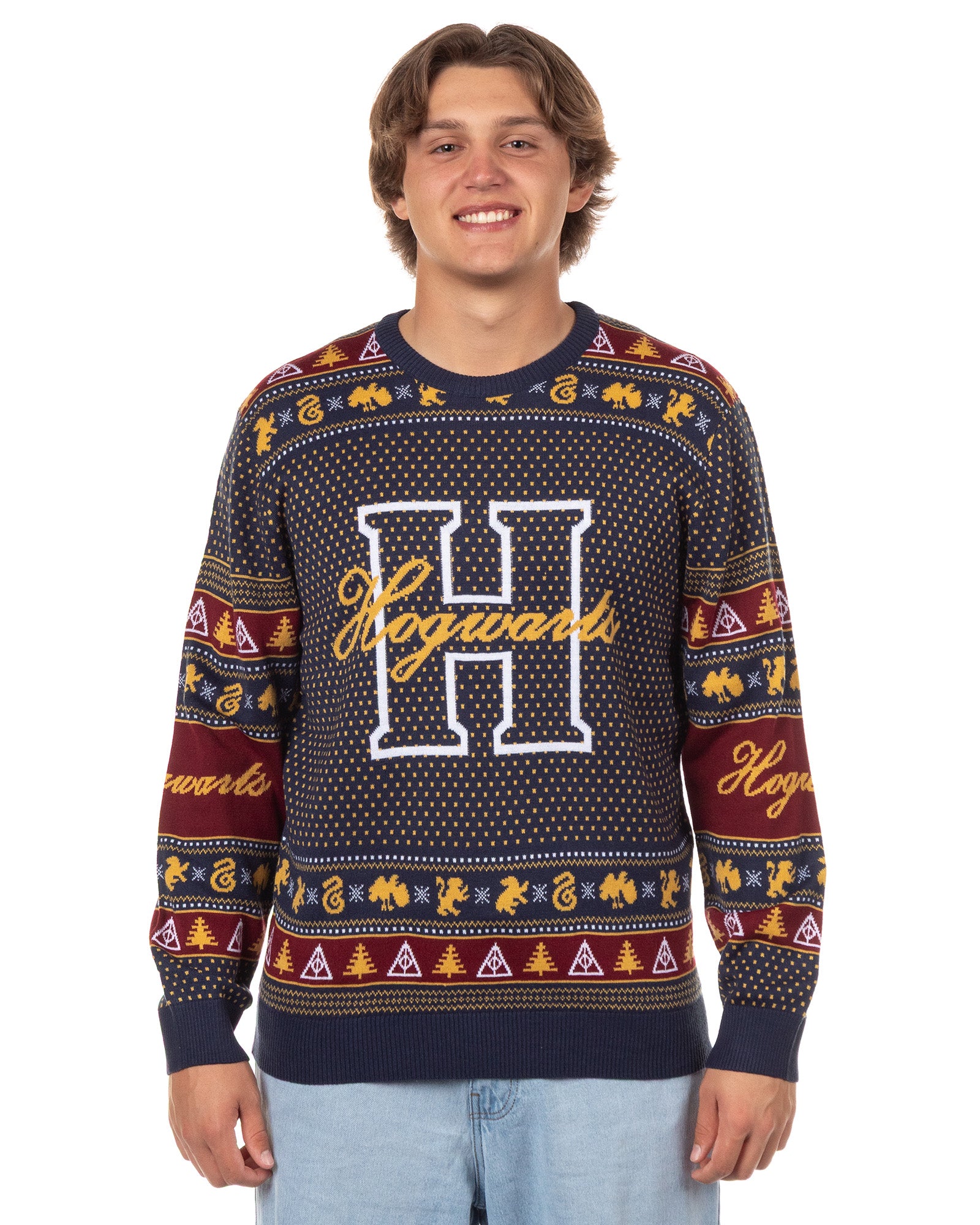 Harry Potter Men's Hogwarts Houses Design Ugly Holiday Knit Sweater