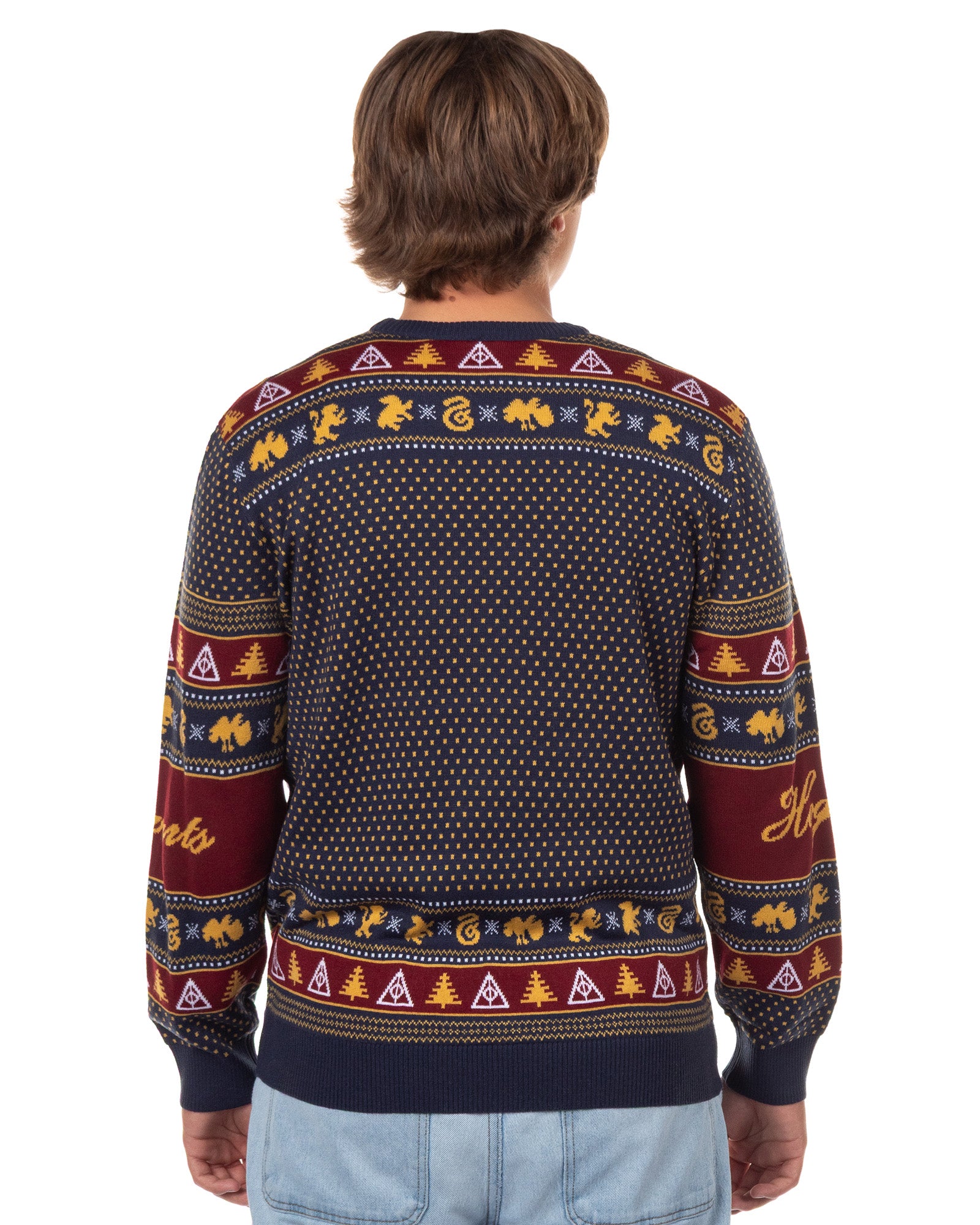 Harry Potter Men's Hogwarts Houses Design Ugly Holiday Knit Sweater