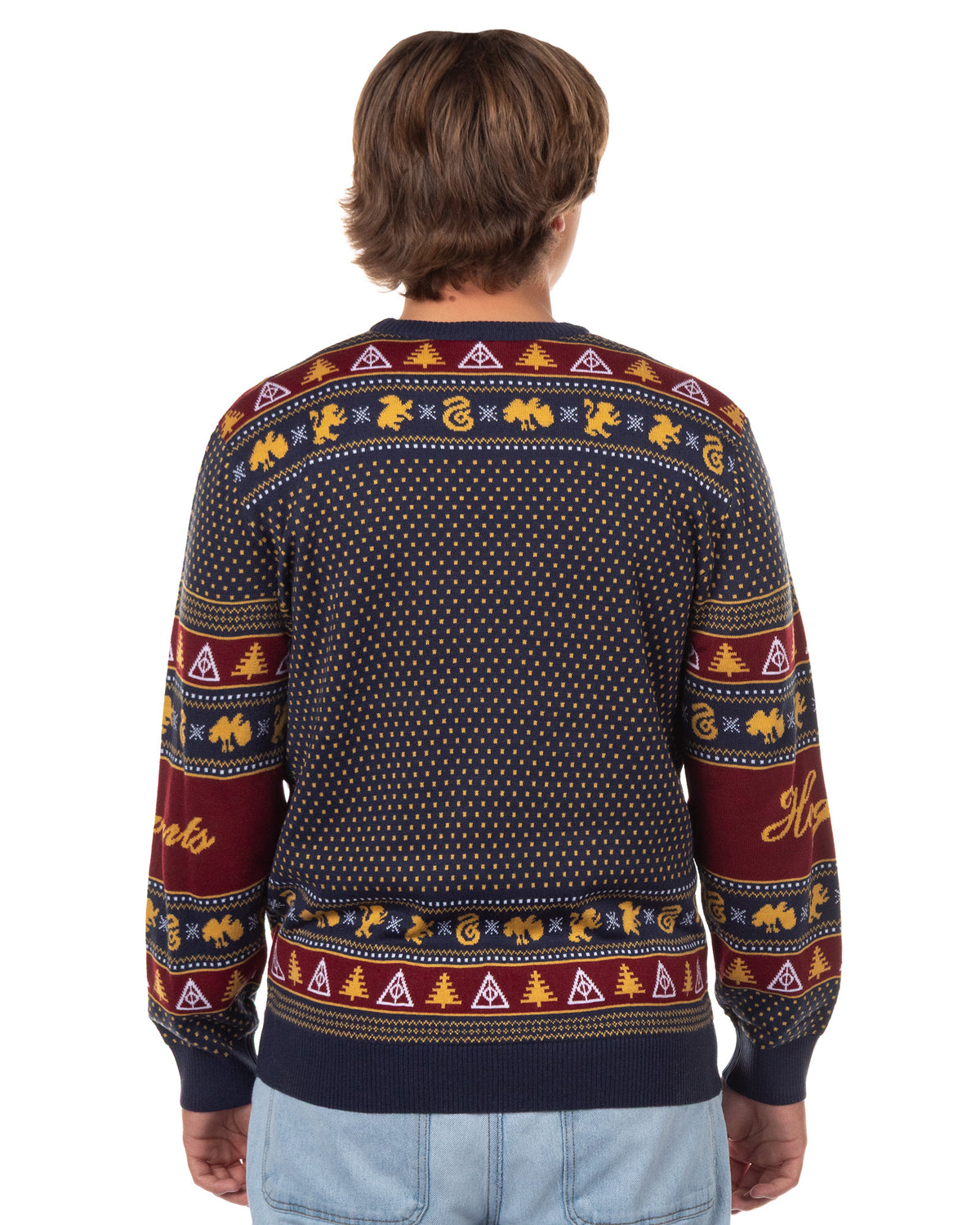Harry Potter Men's Hogwarts Houses Design Ugly Holiday Knit Sweater