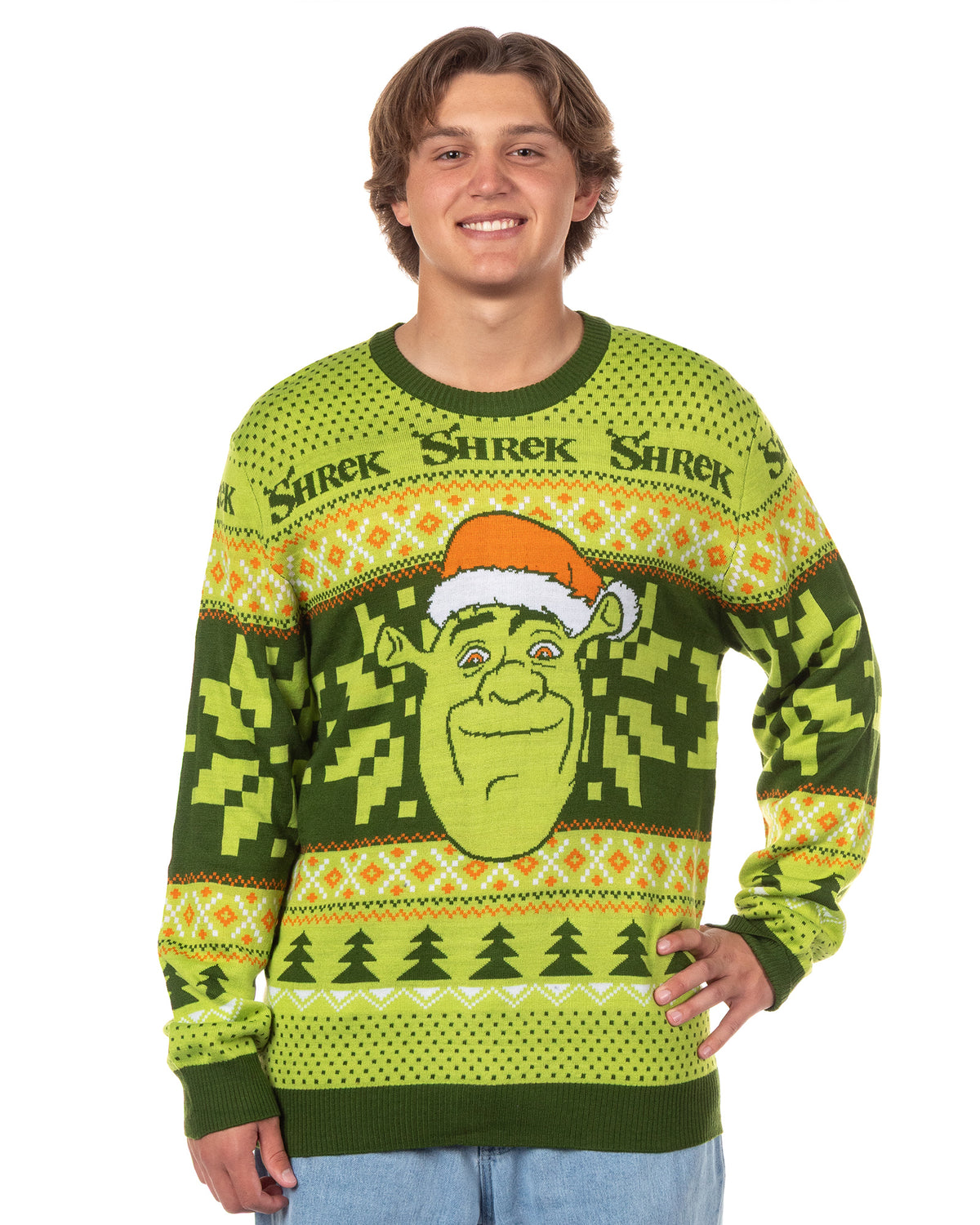 Shrek Ugly Sweater for Christmas Men's Santa Hat Holiday Knit Pullover