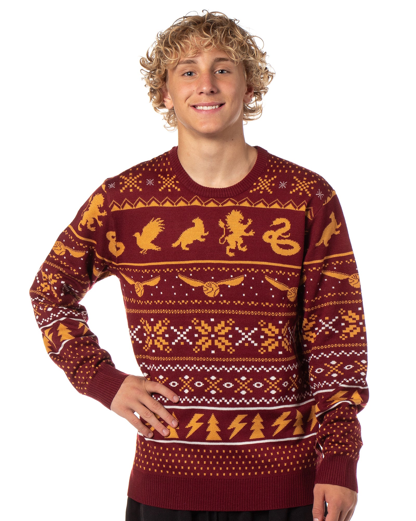 Men's Christmas Holiday Ugly Sweater Knit Pullover