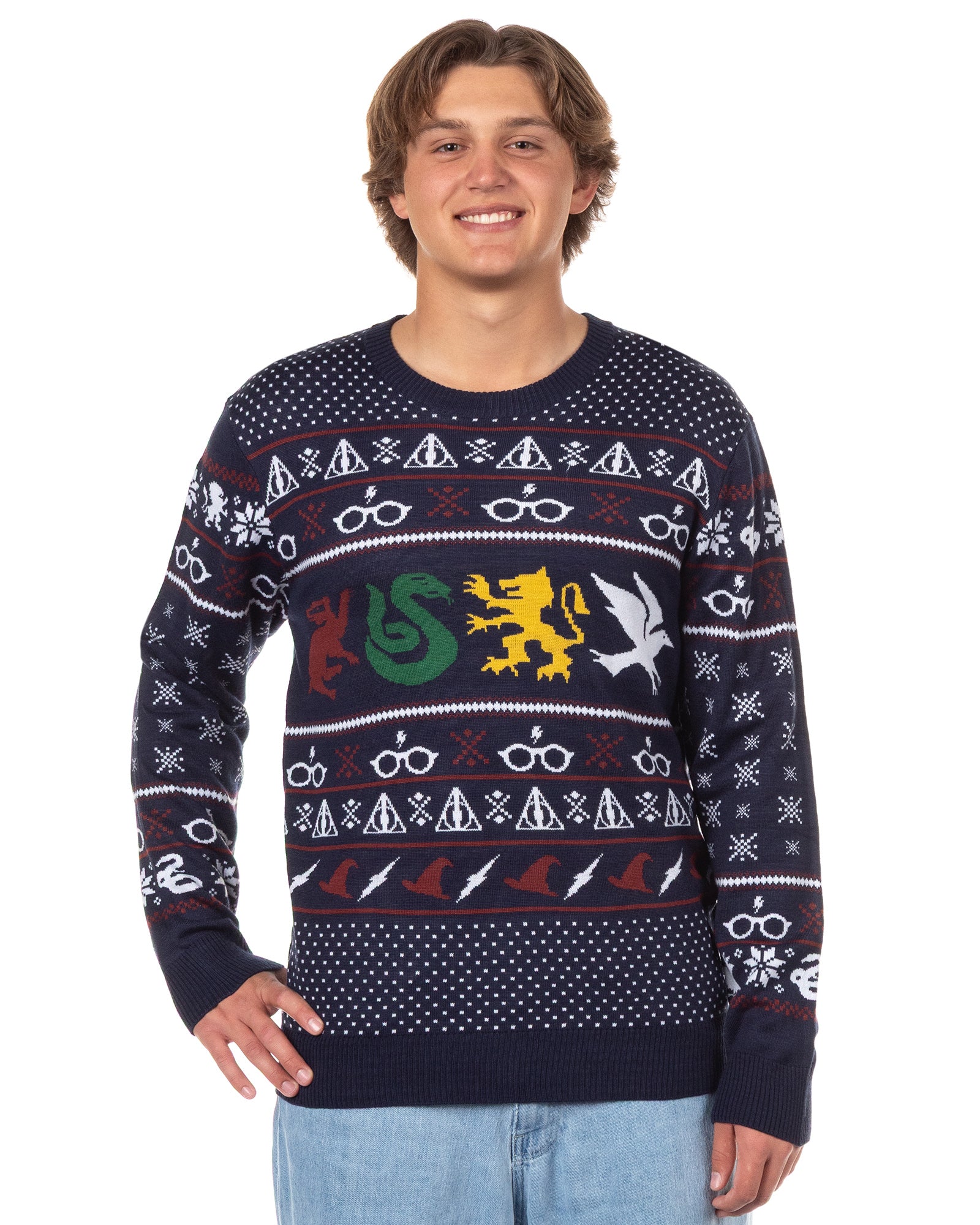 Harry Potter Adult Hogwarts Houses Knit Ugly Sweater for Christmas