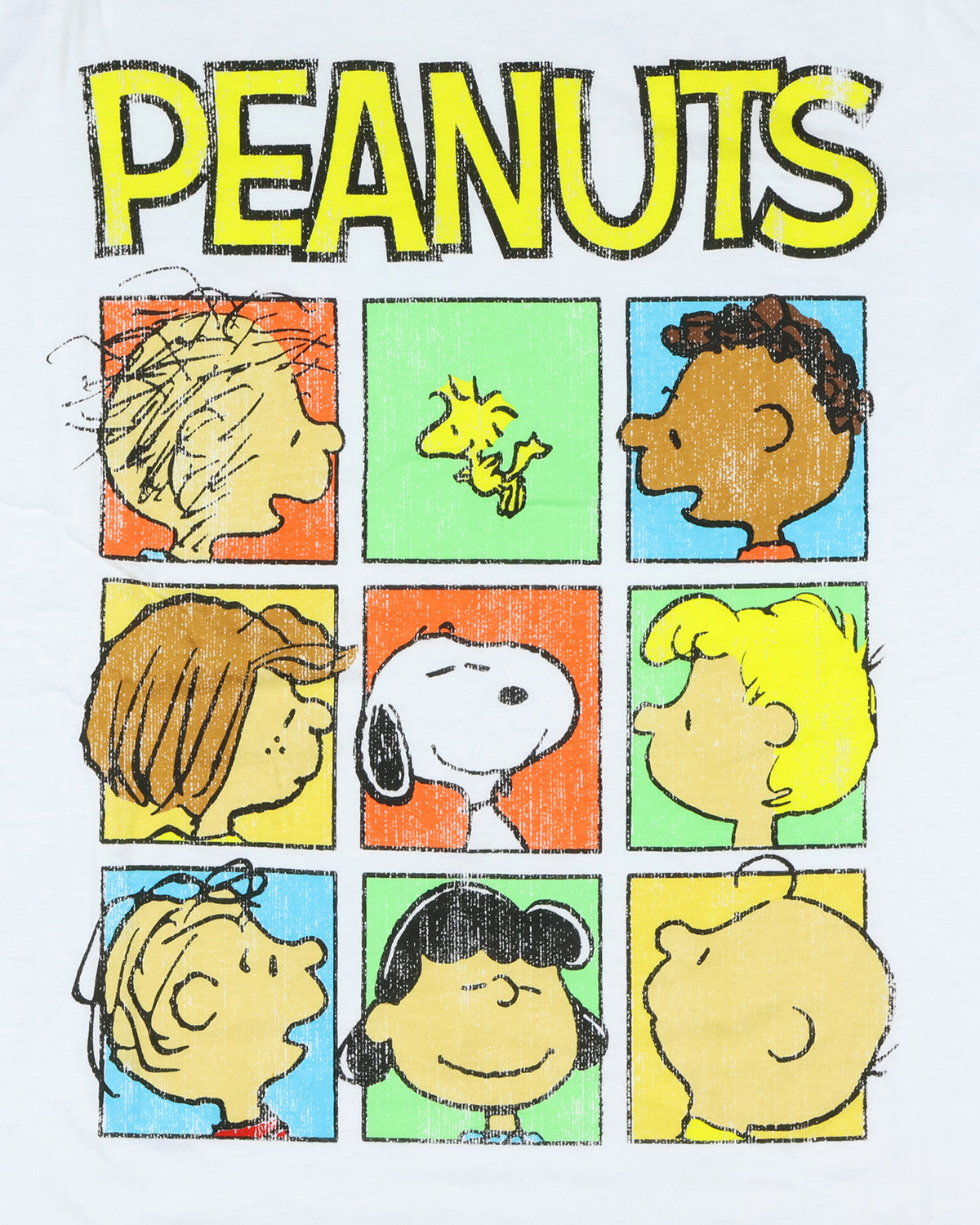 Peanuts T-Shirt Men's Boxed Character Grid Design Graphic Print Tee