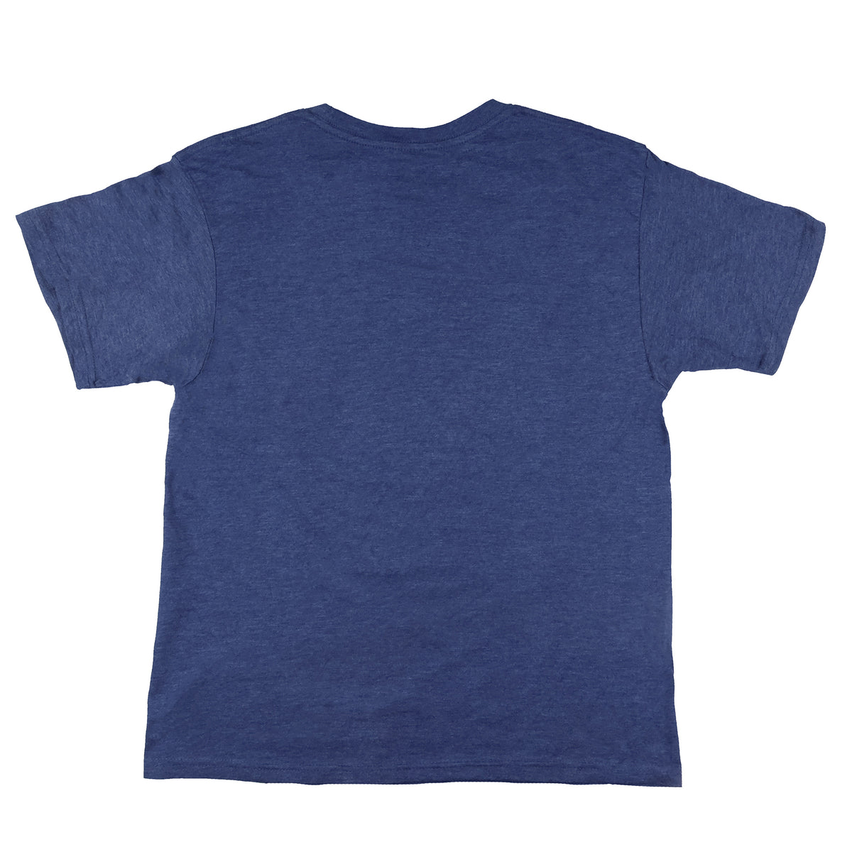Five Nights At Freddy's Shirt Big Boys Drip Withered Freddy Short Sleeve Top