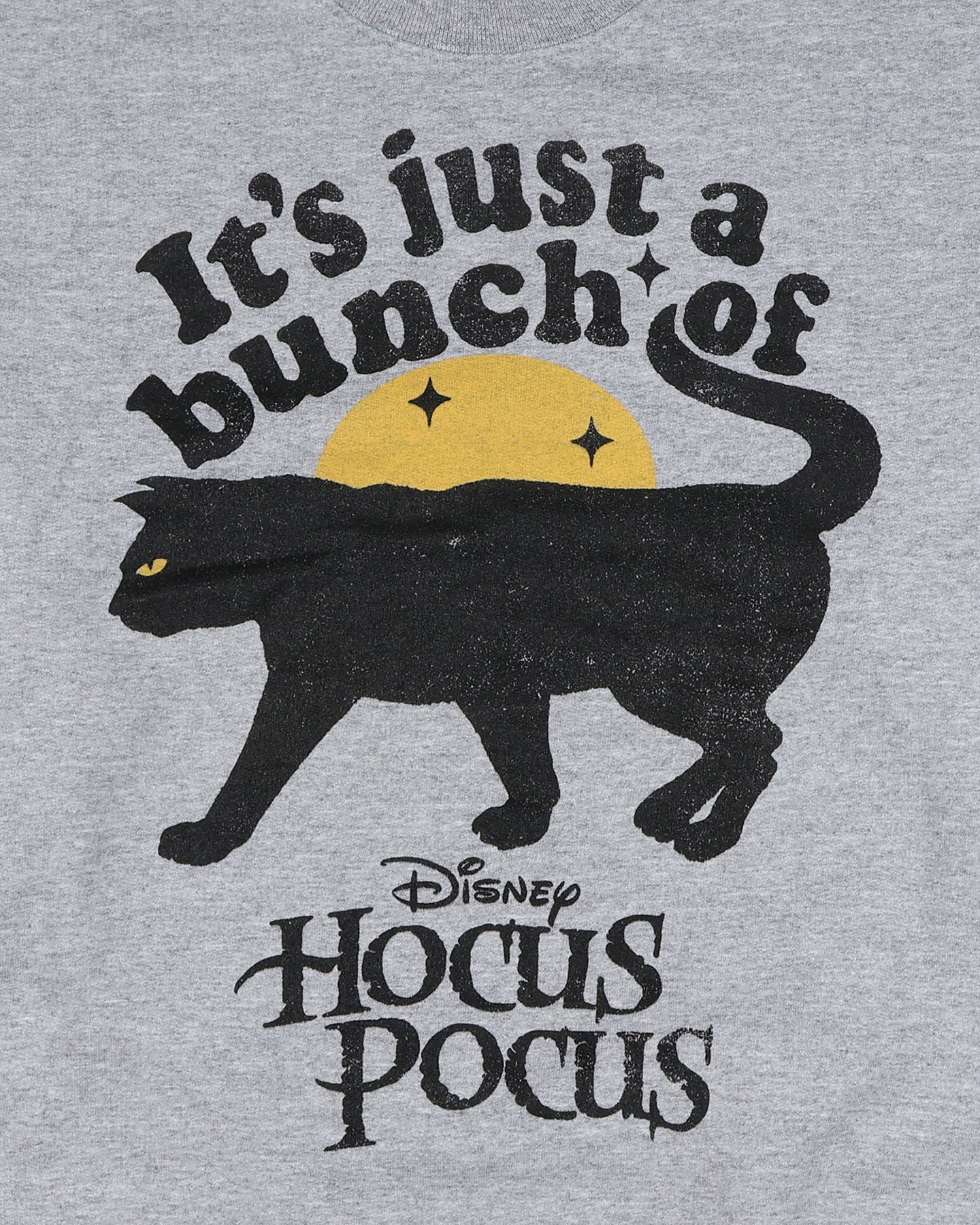 Hocus Pocus Sweatshirt Women's a Bunch of Hocus Pocus Long Sleeve Pullover