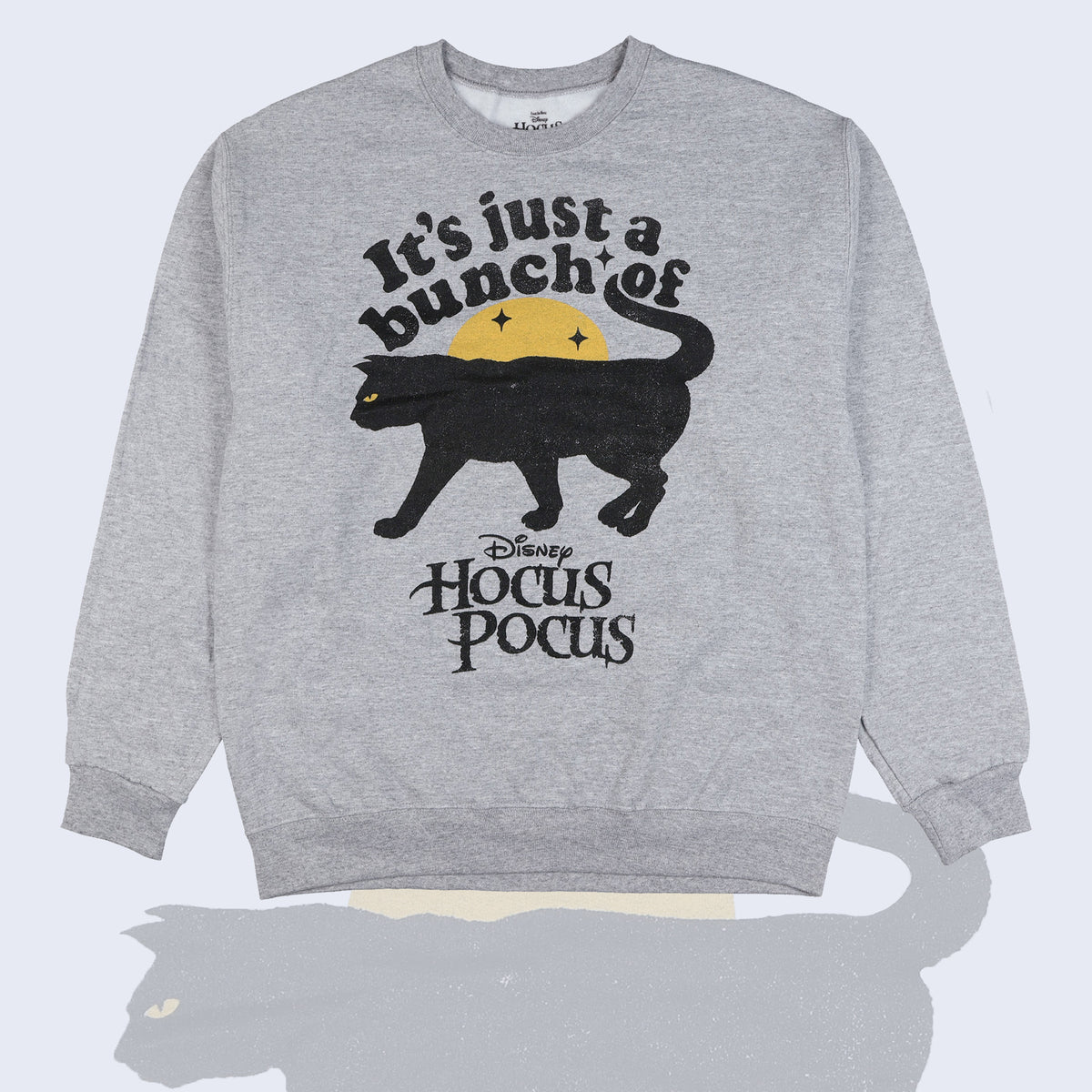 Hocus Pocus Sweatshirt Women's a Bunch of Hocus Pocus Long Sleeve Pullover
