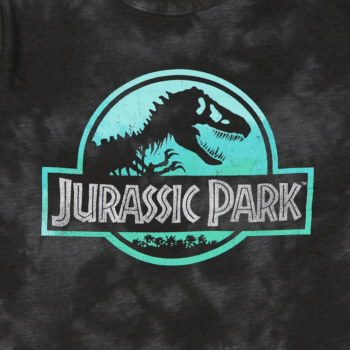 Jurassic Park T-Shirt Boys' Acid Washed Logo Design Long Sleeve Tee