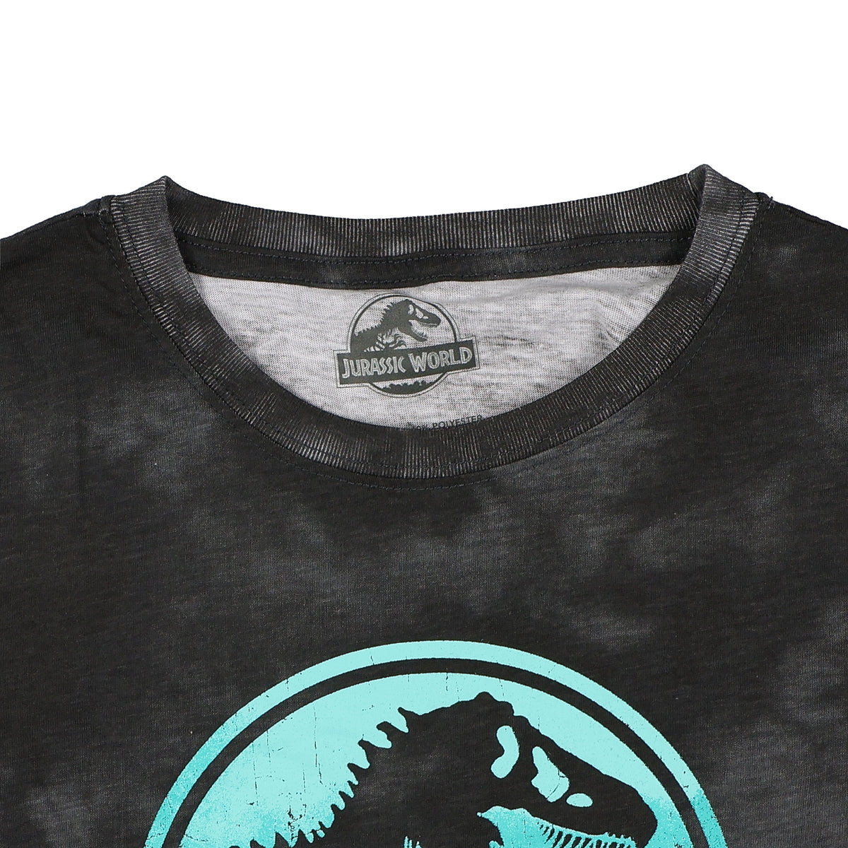 Jurassic Park T-Shirt Boys' Acid Washed Logo Design Long Sleeve Tee