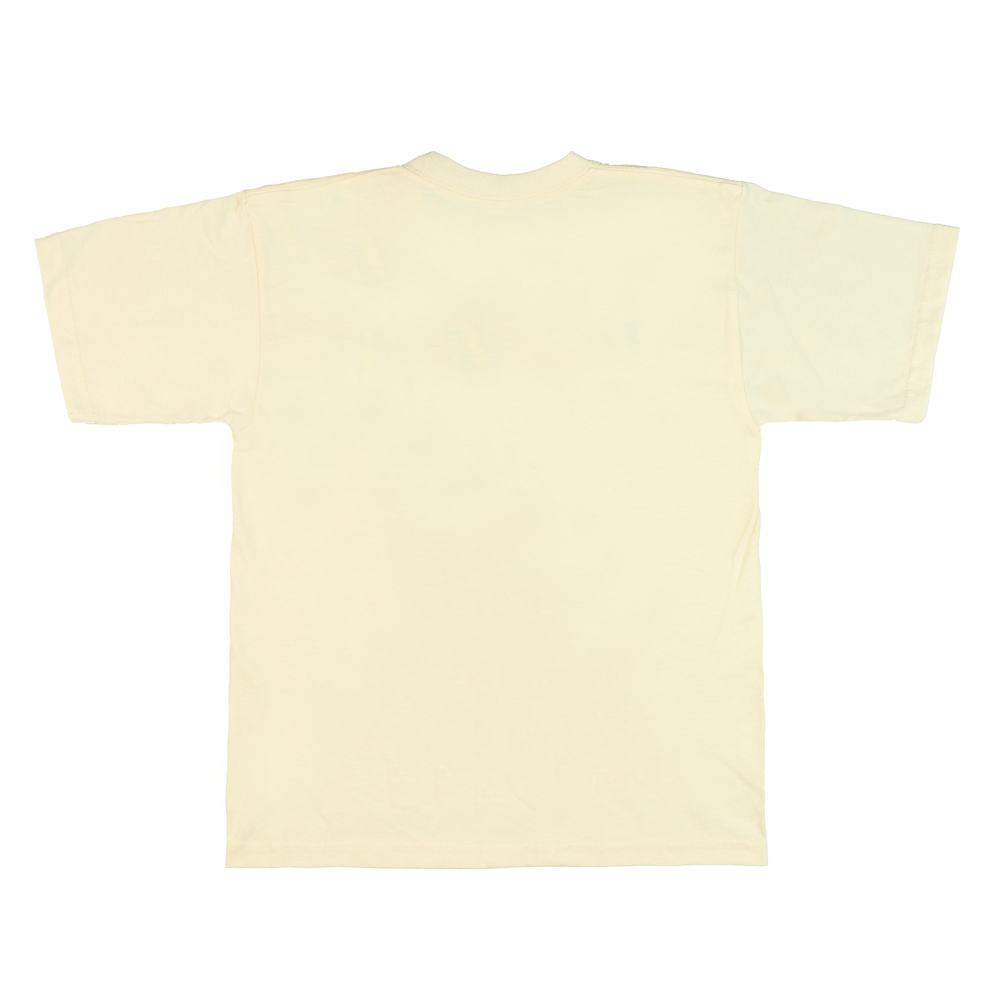 Five Nights At Freddy's Boy's Chica Foxy Freddy Short Sleeve Tee