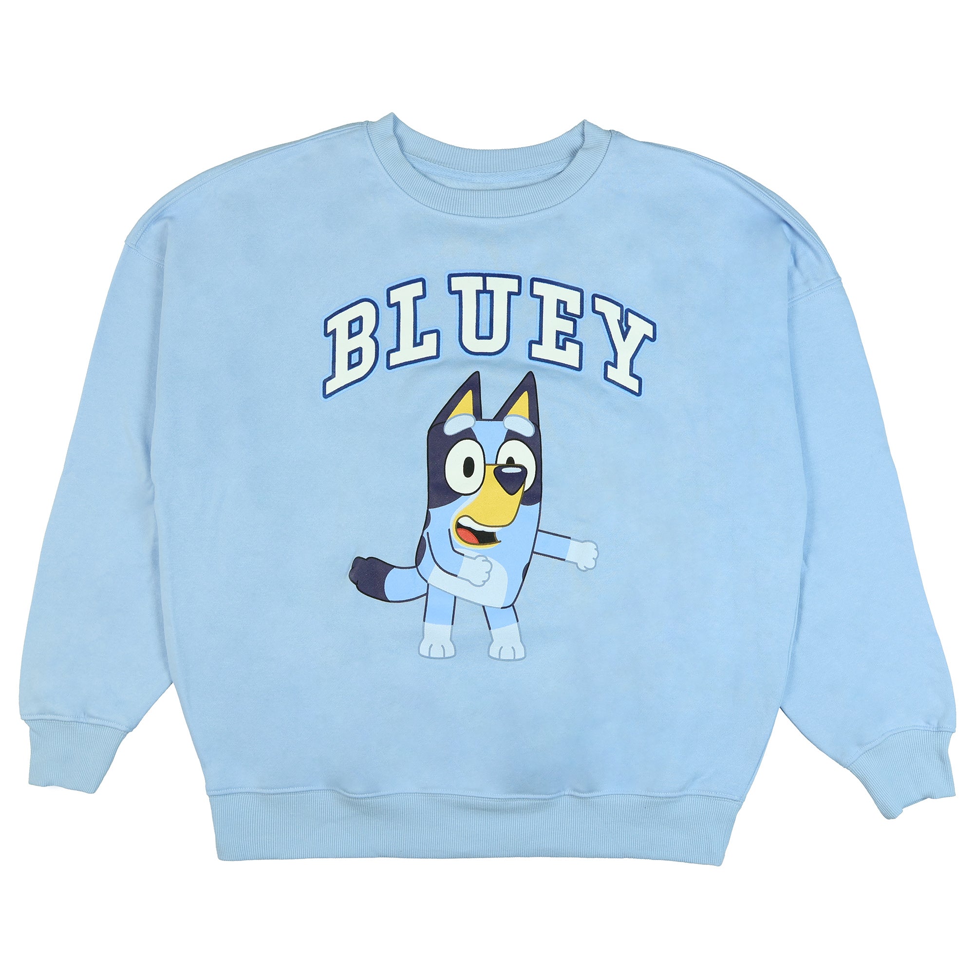Bluey Men's Block Logo Design Crewneck Pullover Long Sleeve Sweatshirt