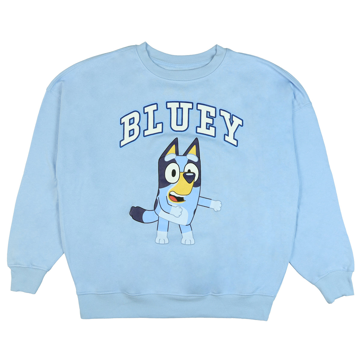 Bluey Men's Block Logo Design Crewneck Pullover Long Sleeve Sweatshirt
