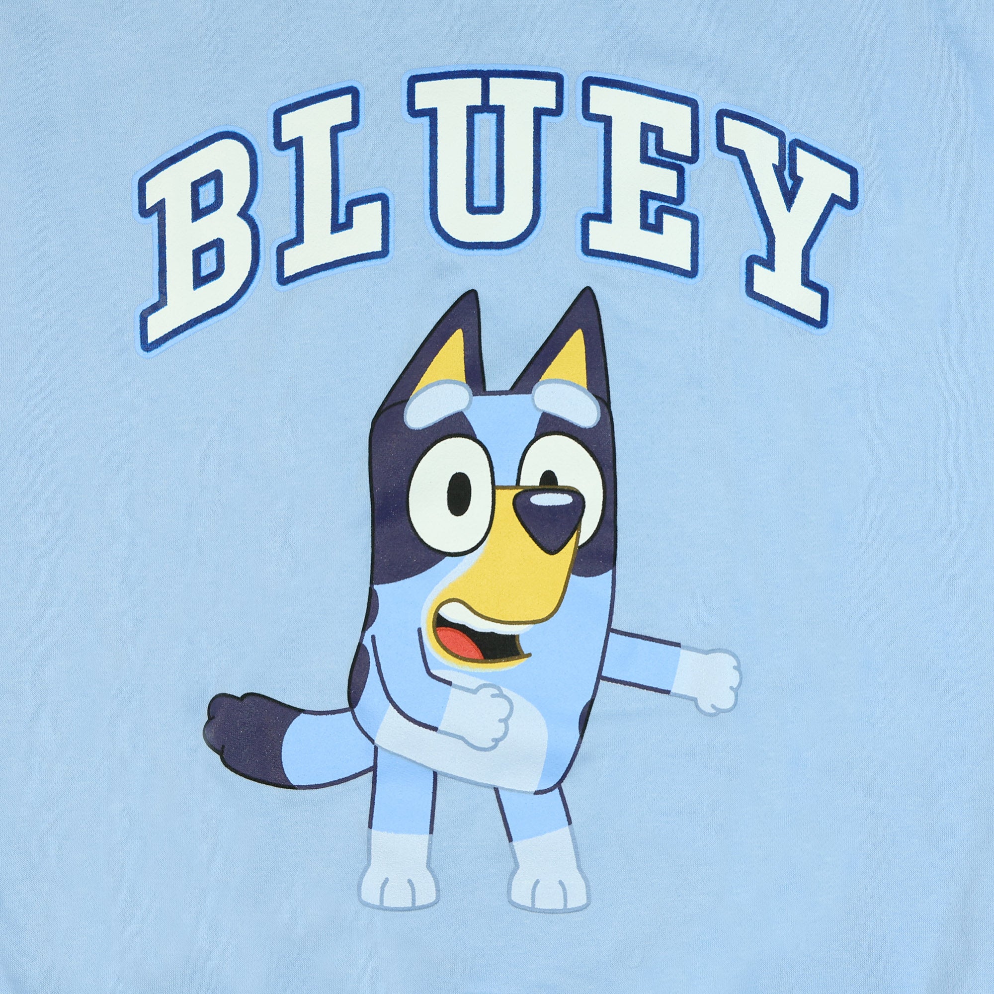 Bluey Men's Block Logo Design Crewneck Pullover Long Sleeve Sweatshirt