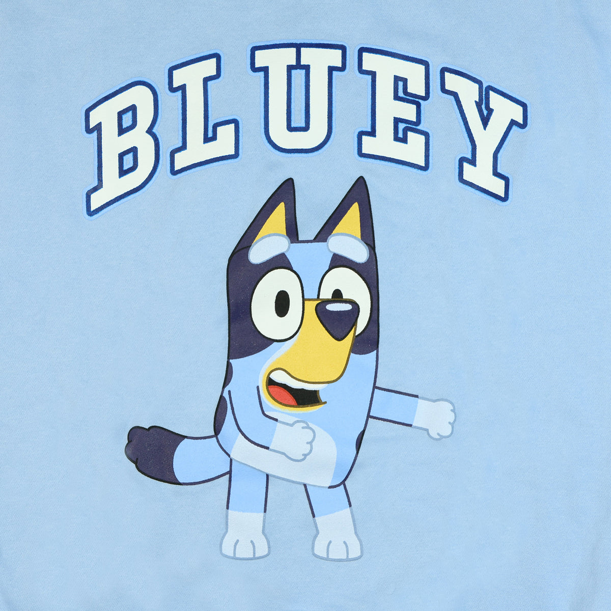 Bluey Men's Block Logo Design Crewneck Pullover Long Sleeve Sweatshirt