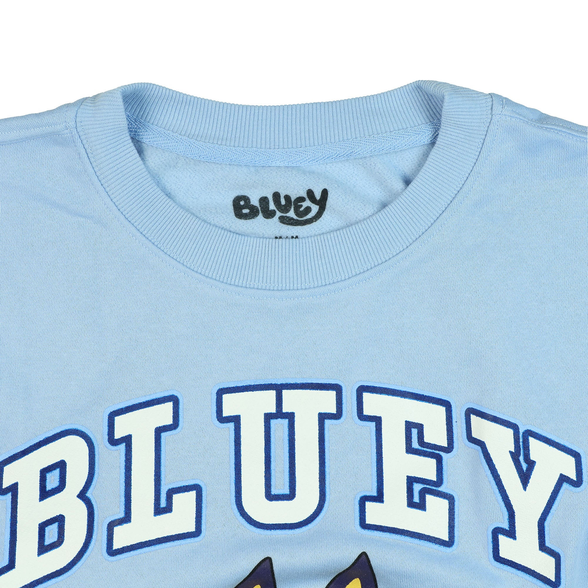 Bluey Men's Block Logo Design Crewneck Pullover Long Sleeve Sweatshirt