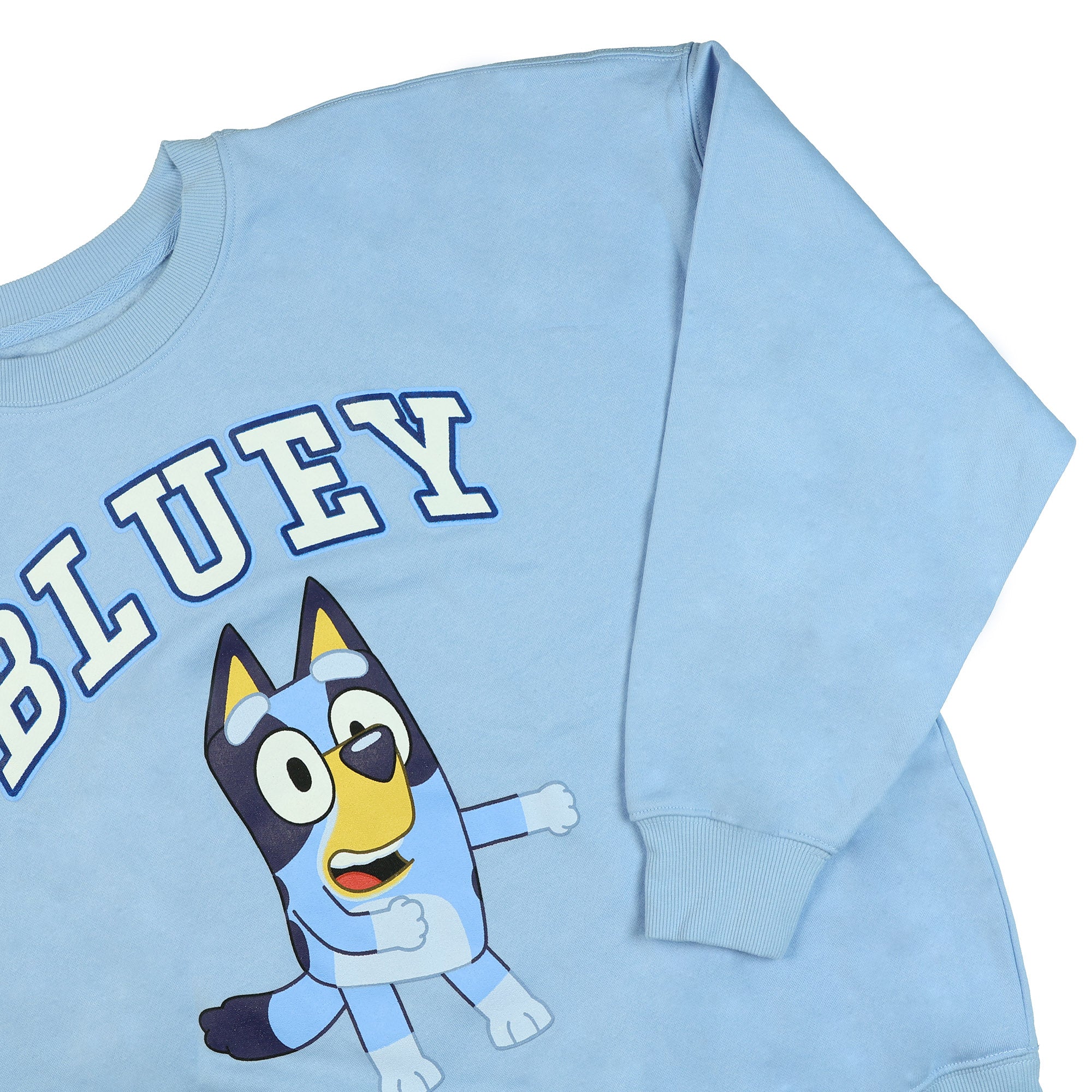 Bluey Men's Block Logo Design Crewneck Pullover Long Sleeve Sweatshirt