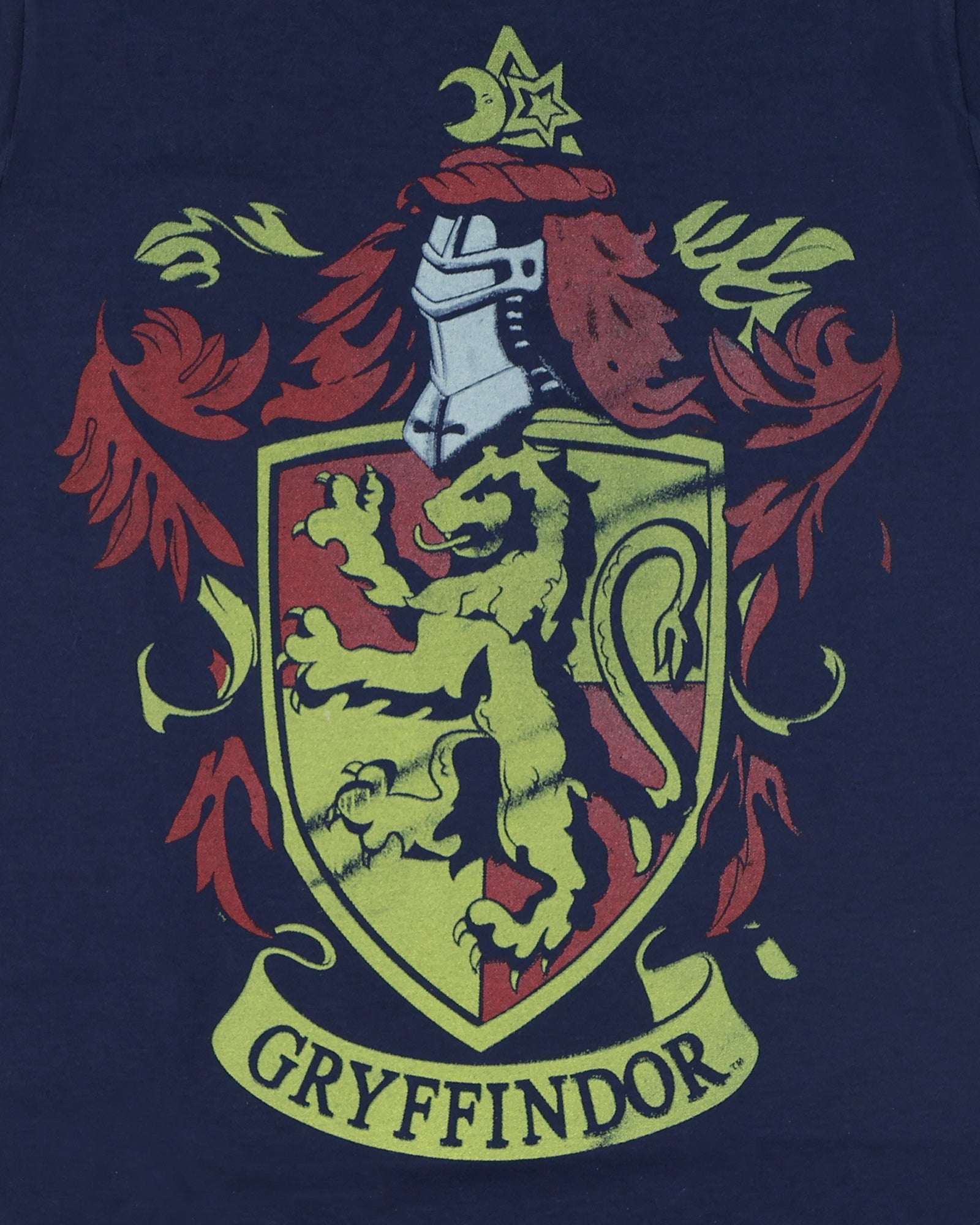 Harry Potter Shirt Boy's Gryffindor Distressed Short Sleeve Tee