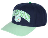 Pokemon Adult Embroidered Precurve Snapback Hat For Men and Women